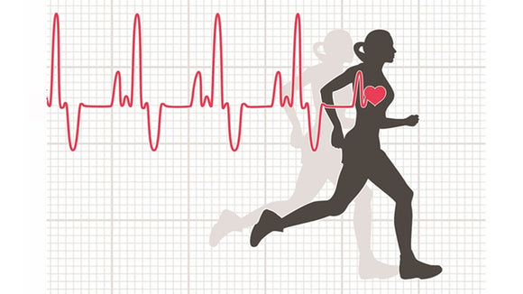 More About Heart Rate